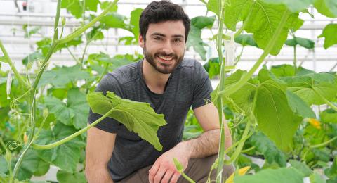 A photo of UNH Greenhouse Manager Matt Biondi standing among cucurbit plants at the greenhouses